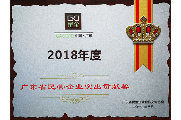 Outstanding Contribution Award for Private Enterprises in Guangdong Province